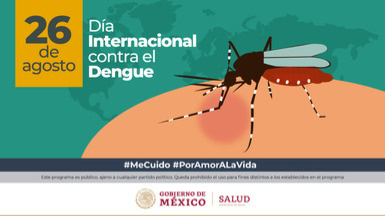 dia internacional contra el dengue