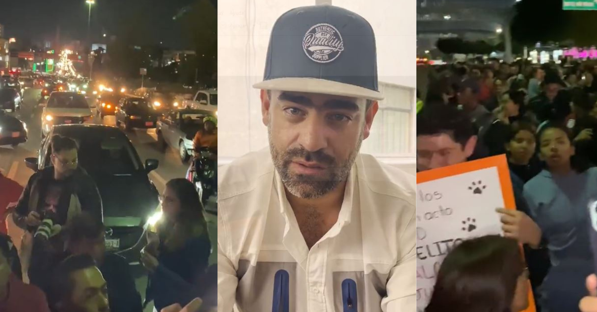 perrito puebla golpeado manifestacion captura