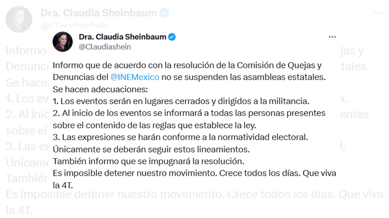 sheinbaum ine