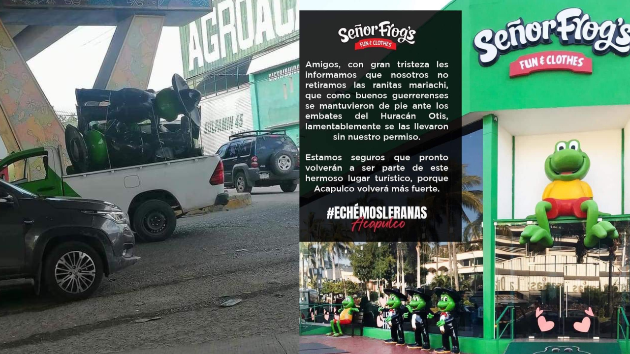 ranas acapulco