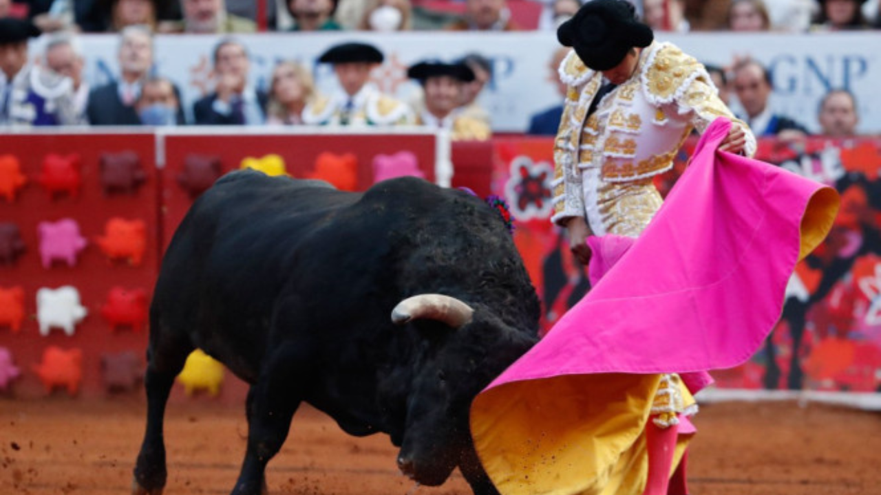 plaza toros mexico 