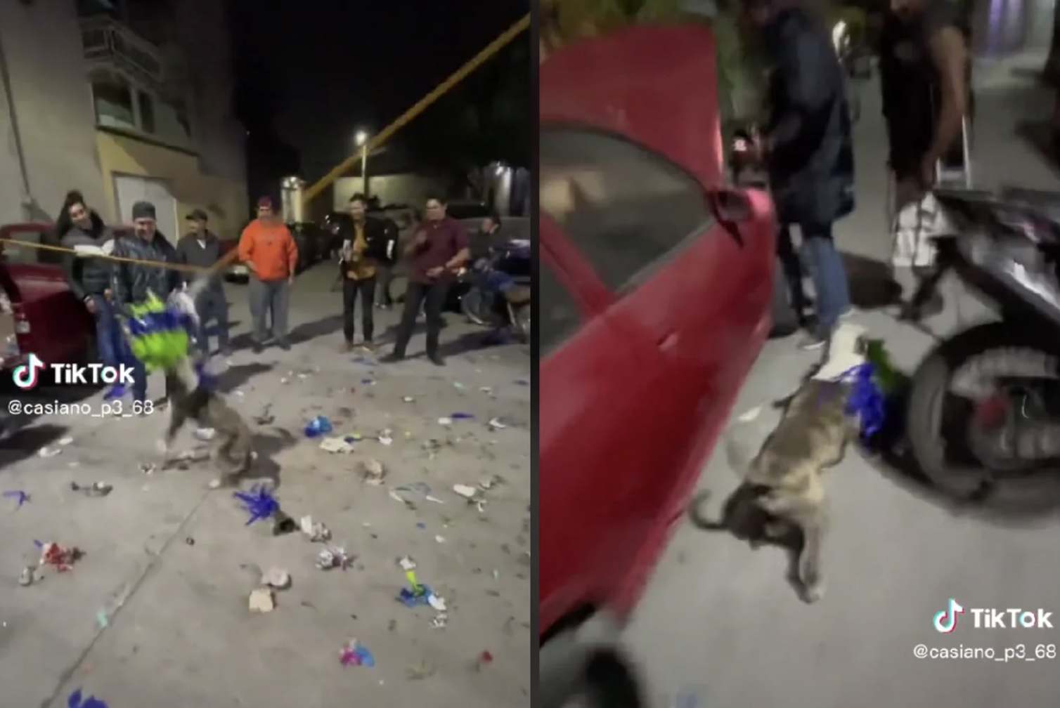 (Vídeo) Roba perrito piñata de posada con todo y dulces
