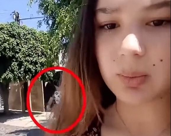 ¿Qué hacer en caso de que alguien te persiga?