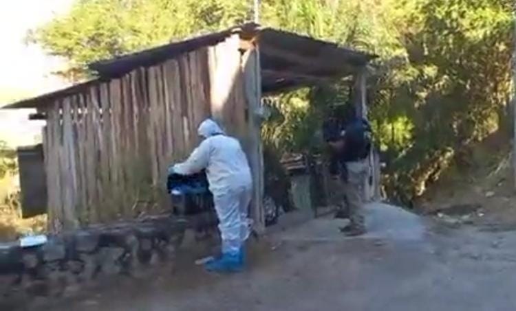 Localizan a persona sin vida en Los Pinos, Chilpancingo