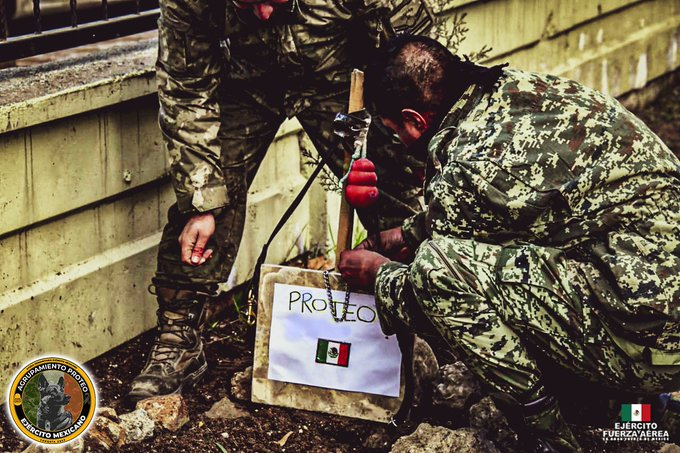 Tras fallecer, Proteo regresa a su hogar