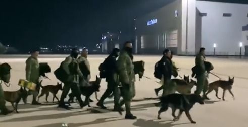 Proteo murió por negligencia