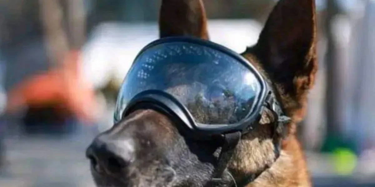 Proteo, un héroe en el cielo