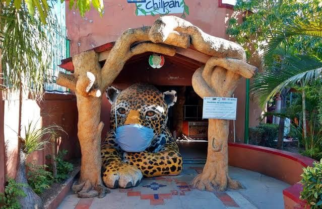 caso zoochilpan terminara en dos semanas