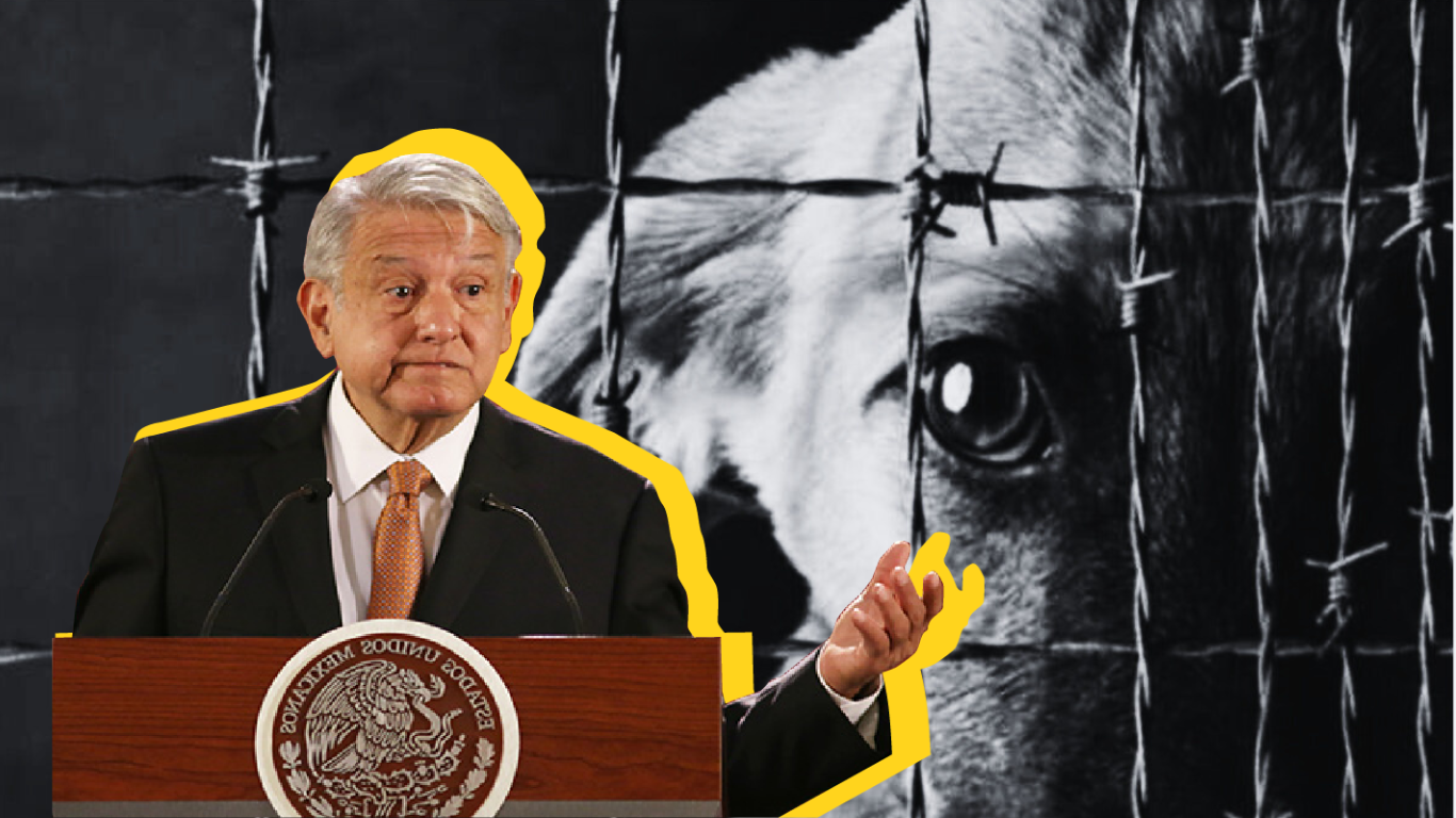 la mañanera minuto a minuto