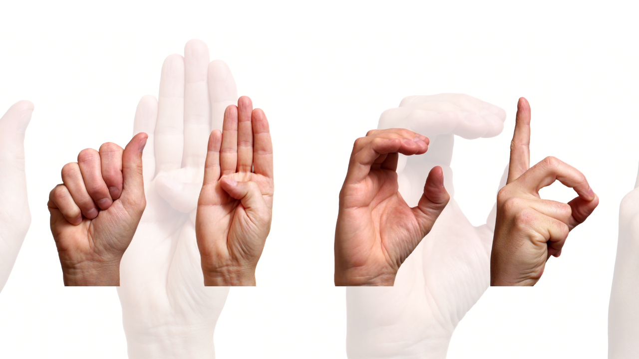 Lengua de Señas Mexicana: Celebrando la riqueza y la inclusión