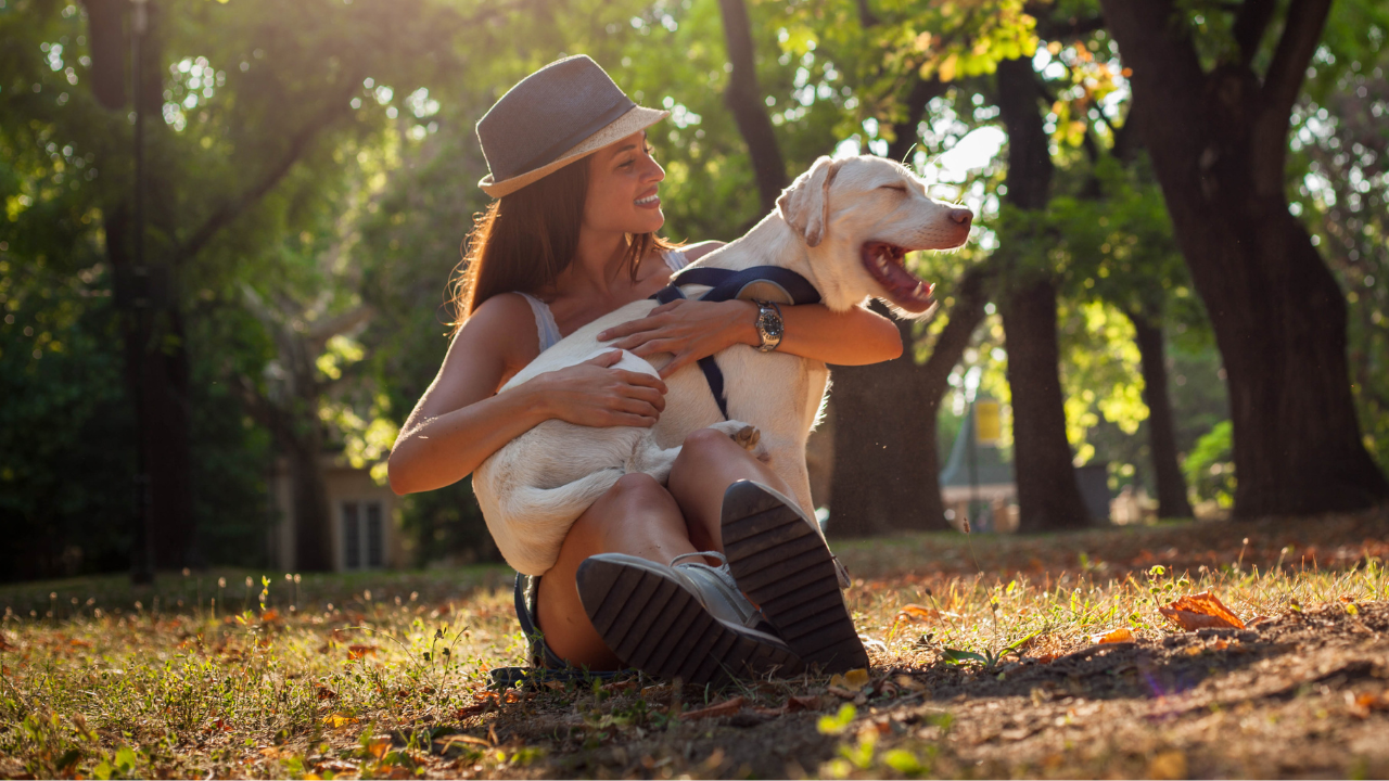 los perros sienten amor