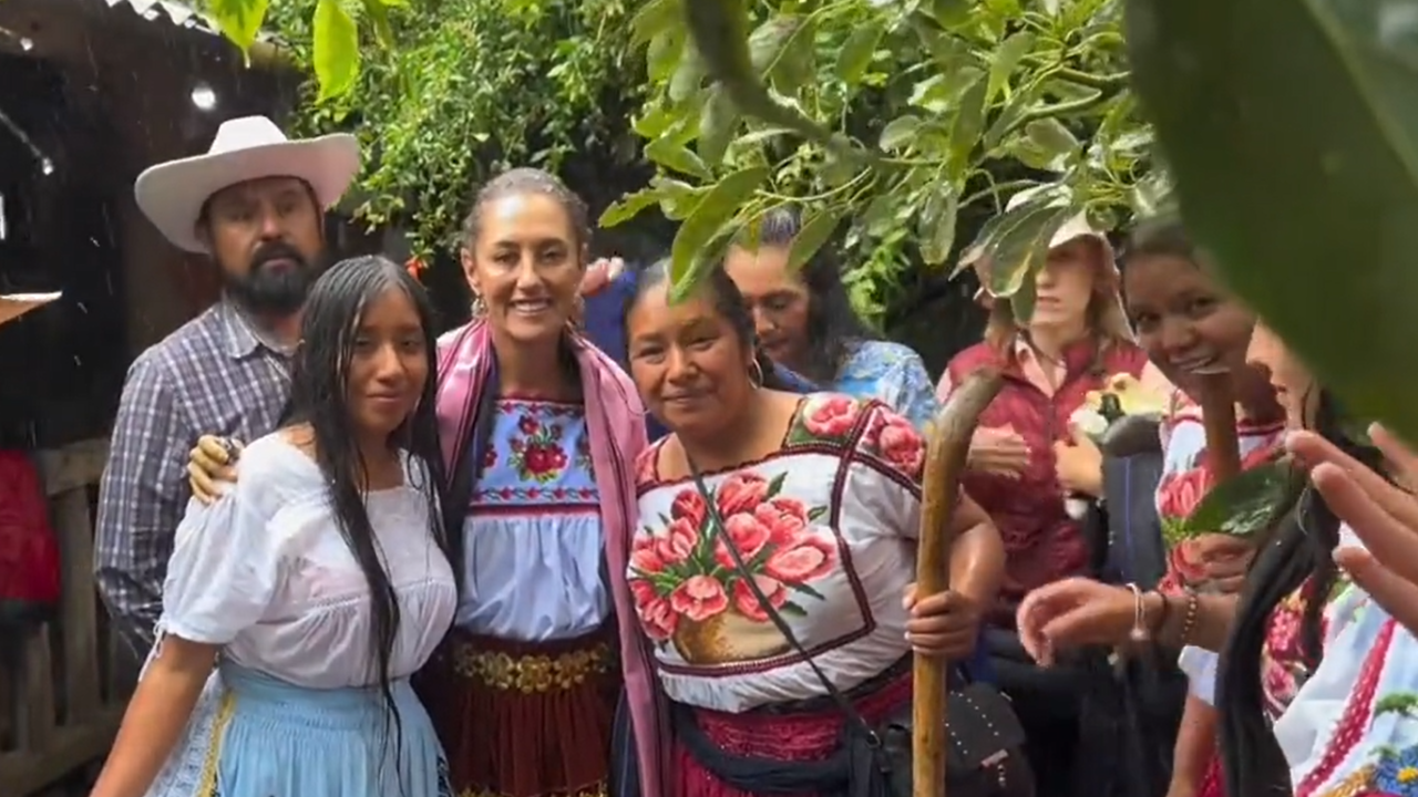 sheinbaun nana claudia