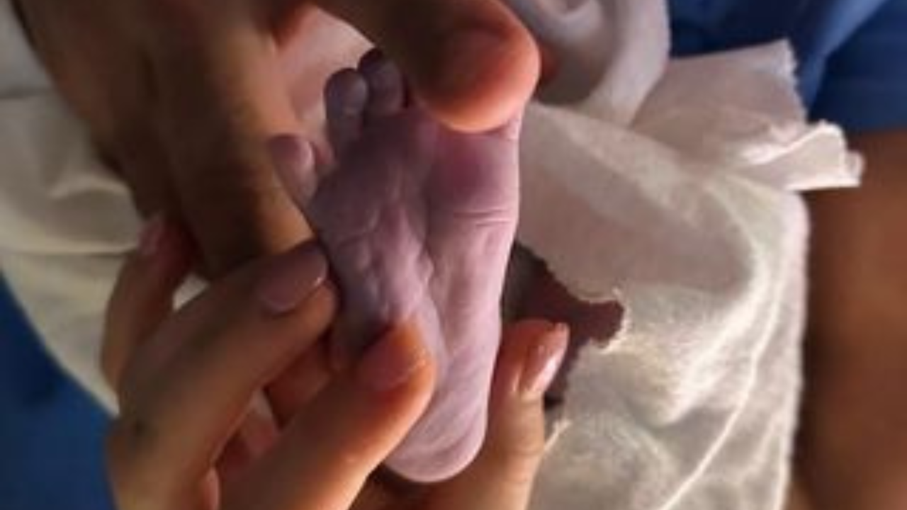 cynthia rodriguez fertilización in vitro