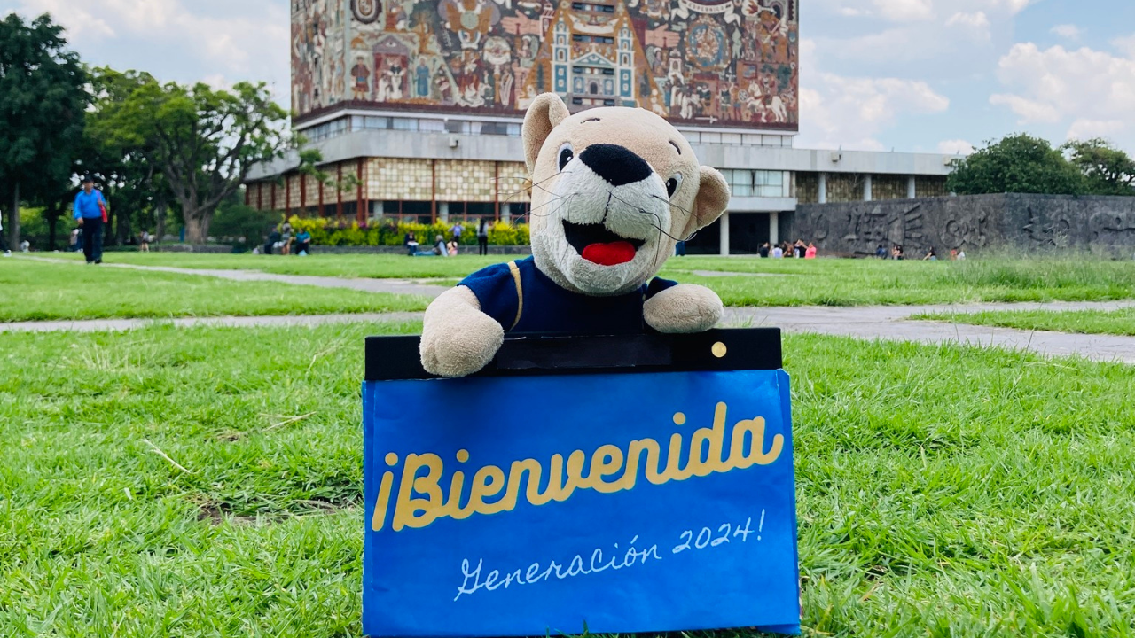 quieres estudiar en la unam