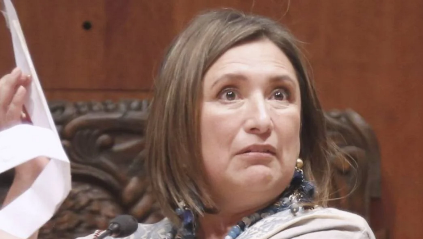 xochitl galvez tesis