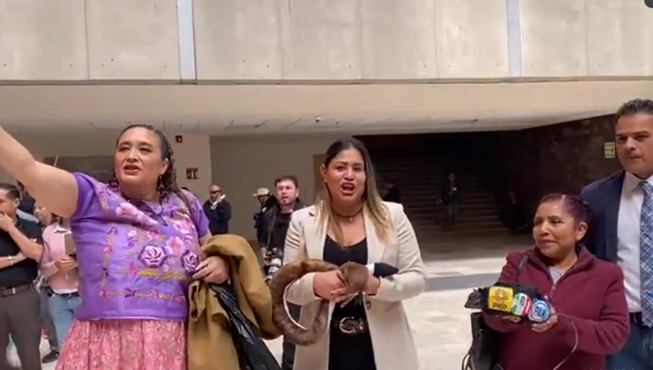 xochitl galvez peluche morena