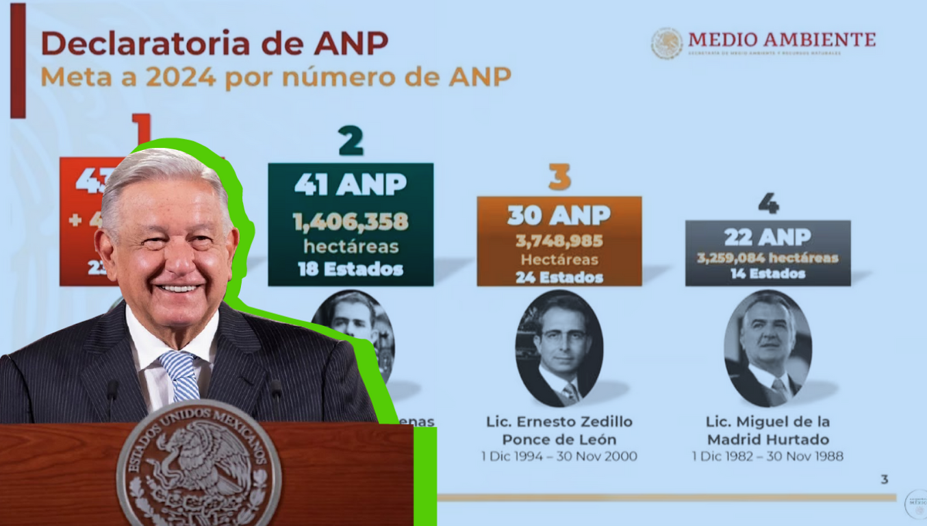 amlo mañanera