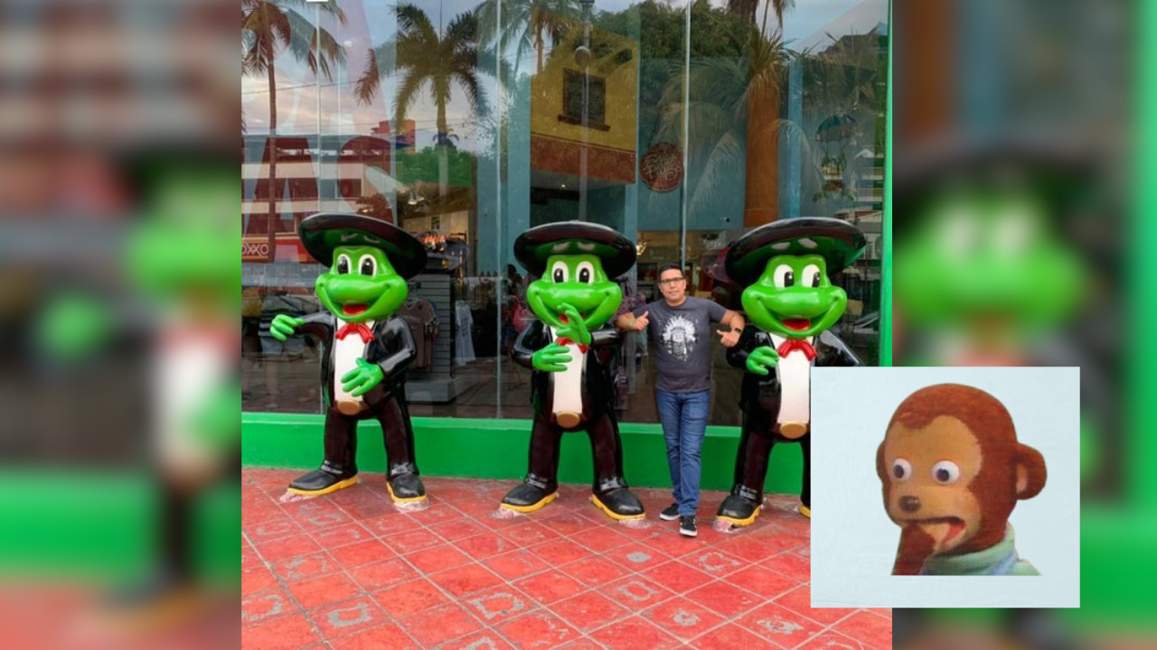 ranas acapulco frogs