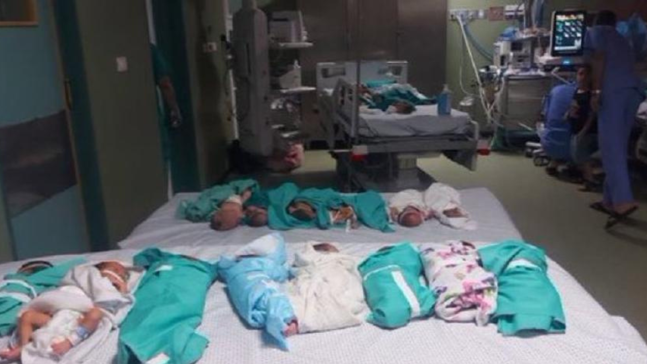 La vida de 36 bebés recién nacidos en riesgo por guerra en Gaza