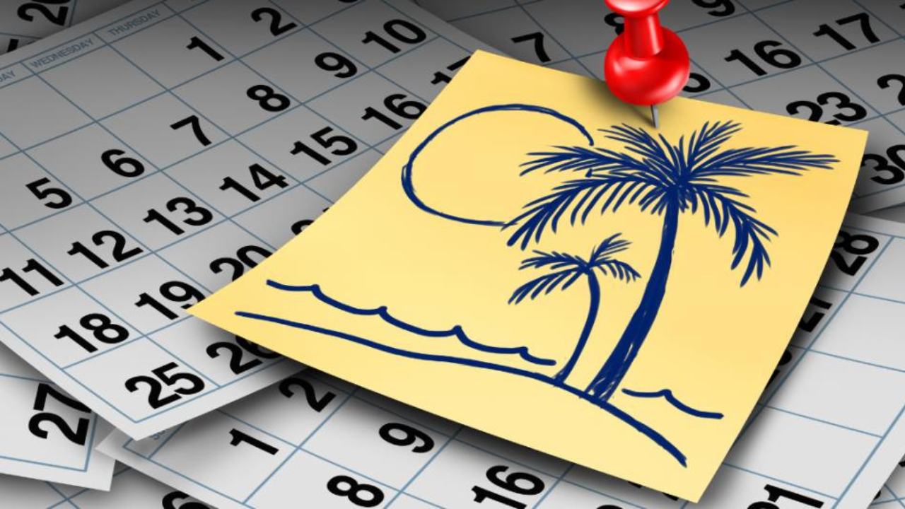 puentes oficial 2024