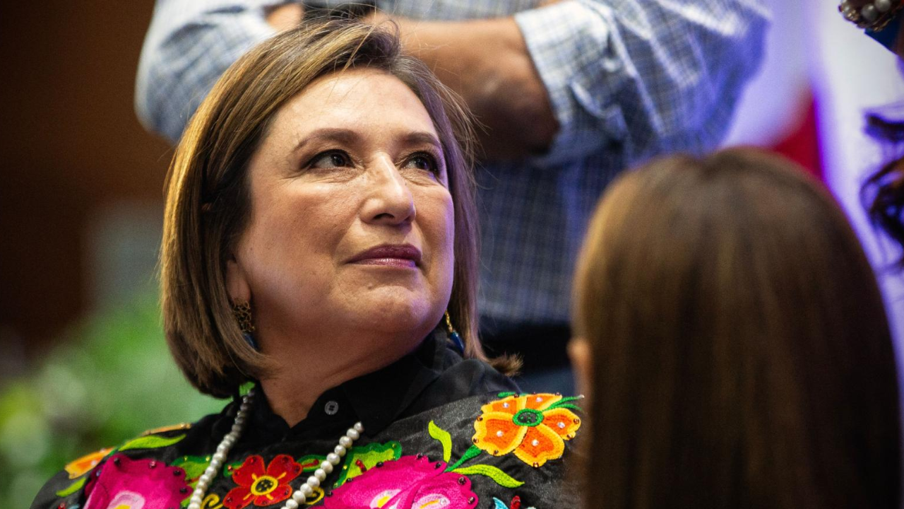 galvez tepjf opinion