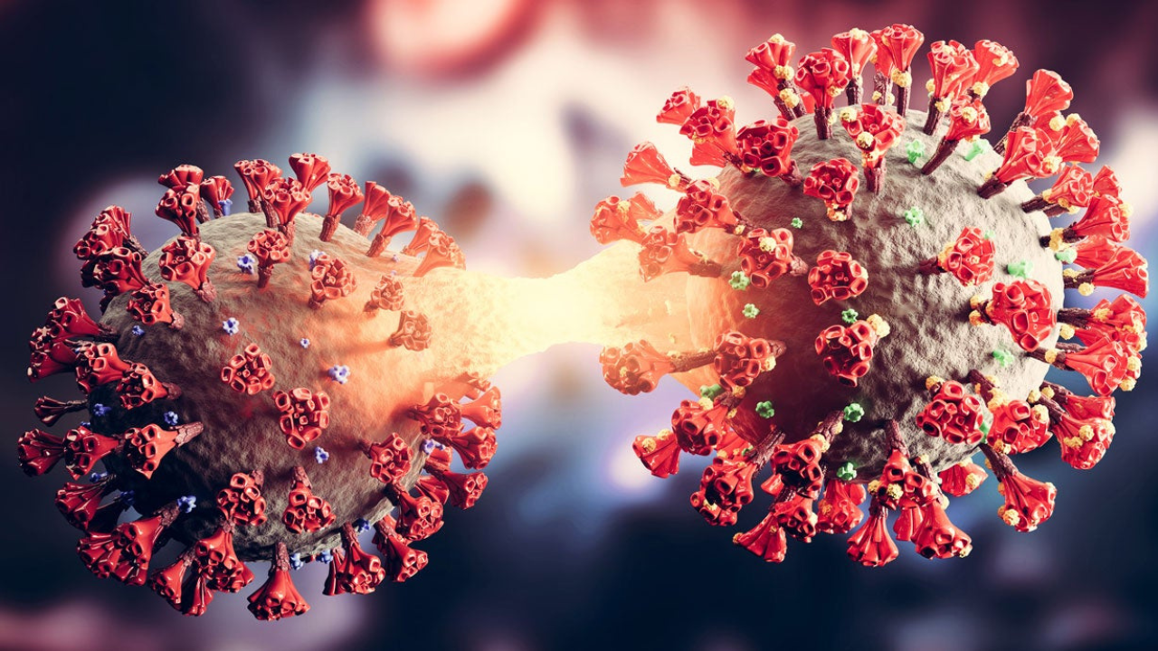 Nueva variante de COVID, JN-1