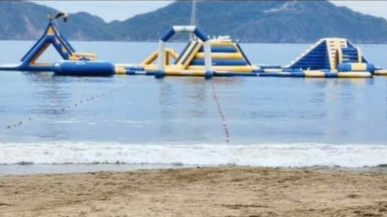 razon del ataque de tiburon en jalisco