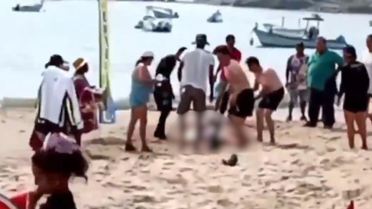 tiburon ataca a mujer en jalisco