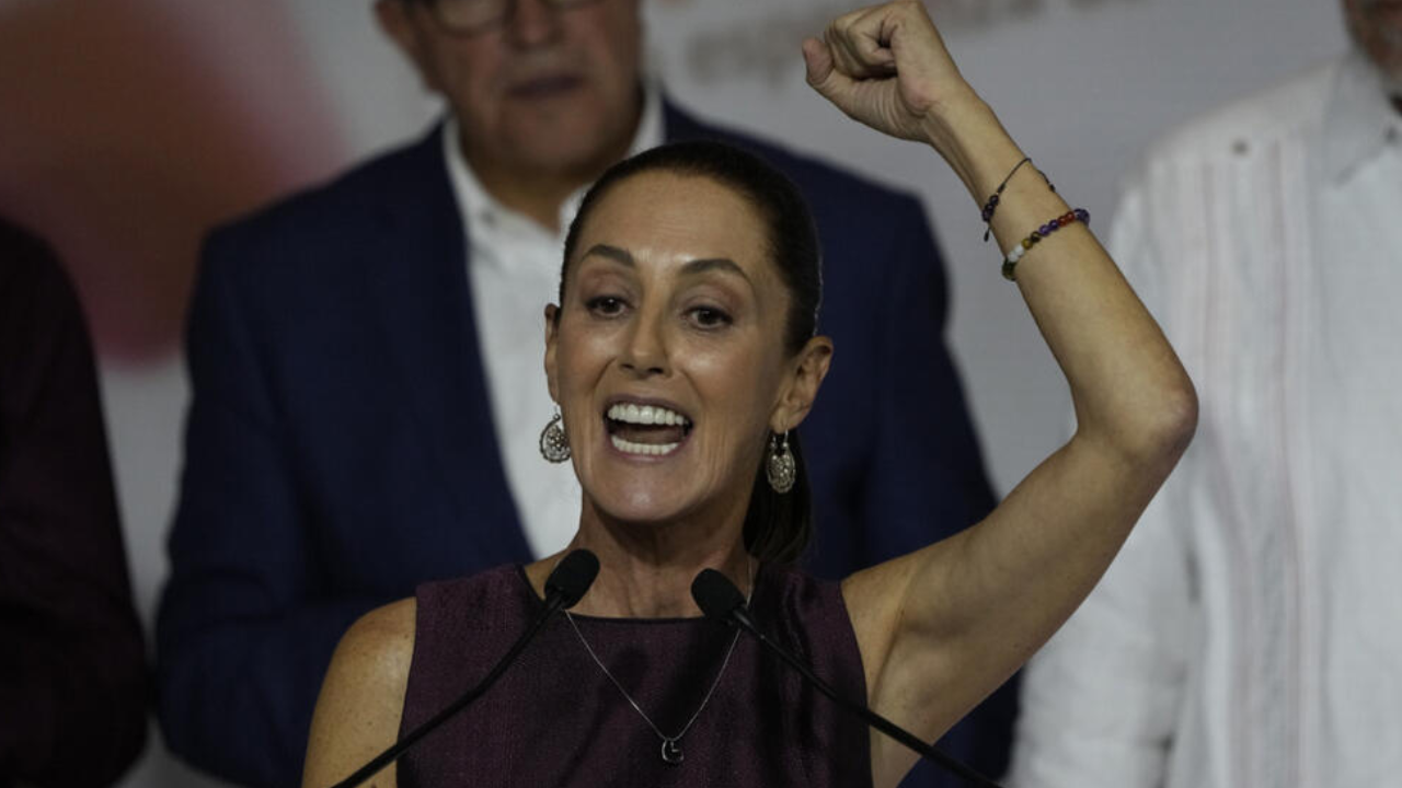 shenbaum universidad