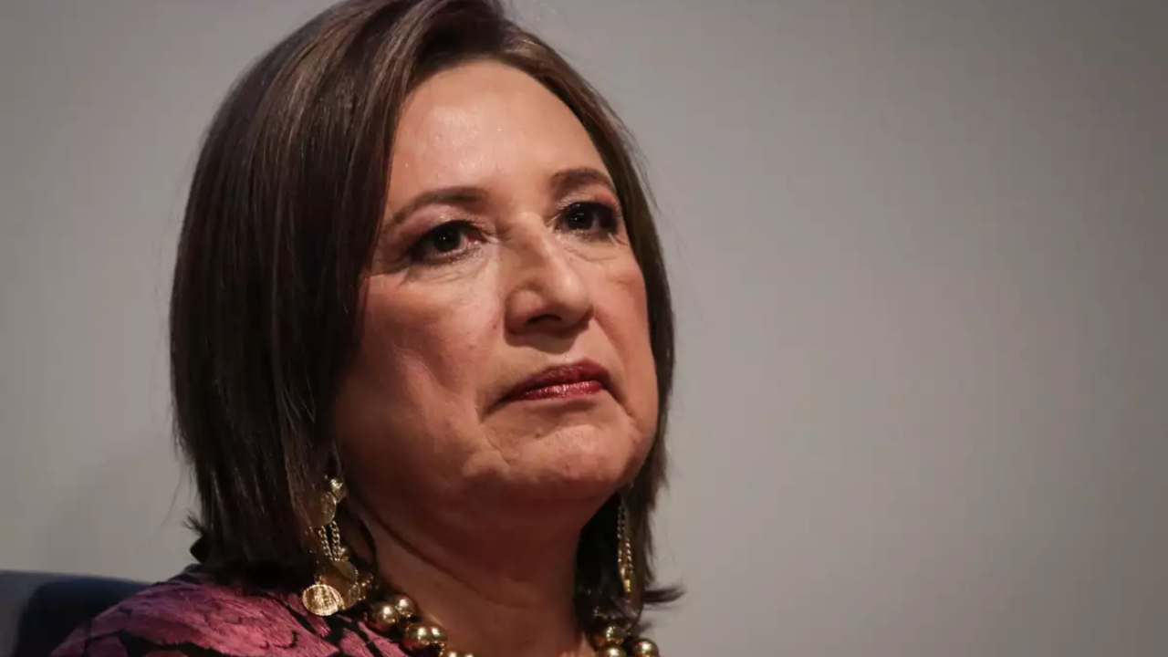 galvez pide investigar a hijos amlo