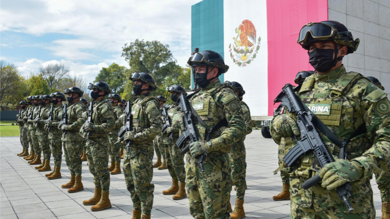 decomiso millonario golpea al narcotrafico en sonora