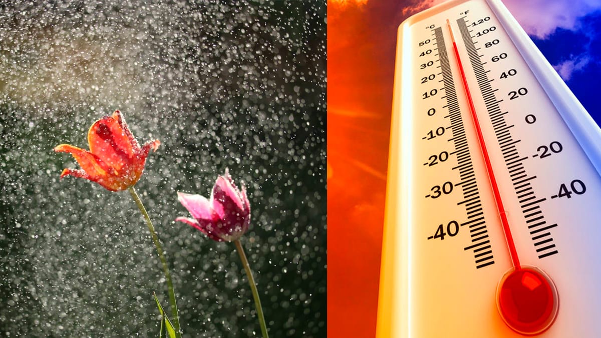 calor lluvia mexico ola de calor 