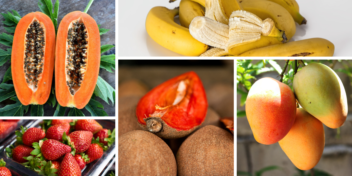 frutas temporada mayo