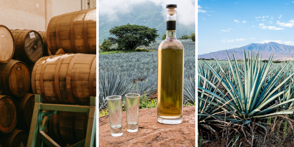 tequila reposado jalisco