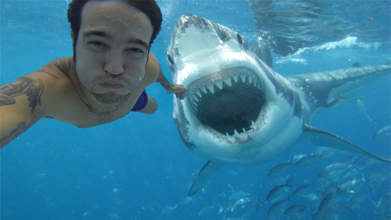 Casos de personas que mueren por tomarse una "selfie" aumentan de manera alarmante