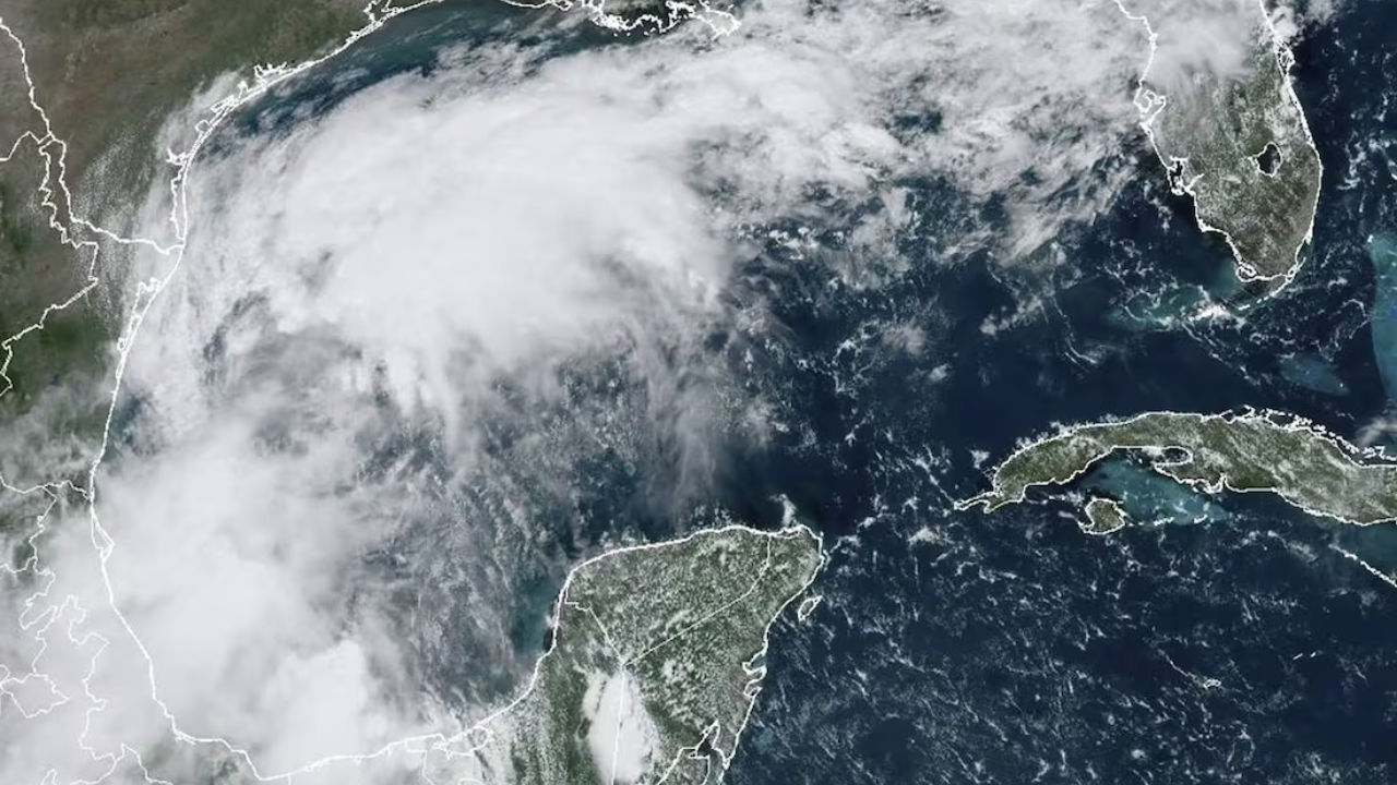 Se forma tormenta tropical 'Francine': ¿Qué estados se verán afectados?