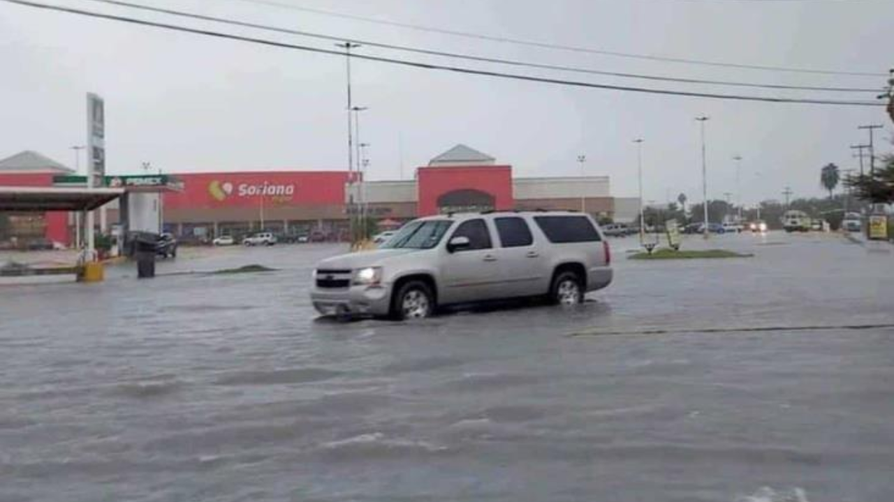 Tormenta tropical 'Francine' causa estragos en Tamaulipas; suspenden clases