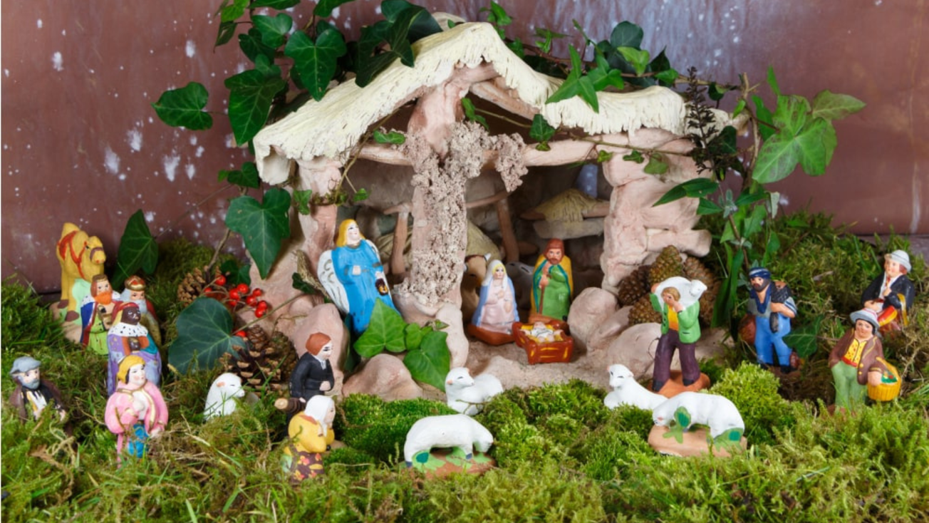 ¿Por qué NO comprar musgo para el pesebre navideño?