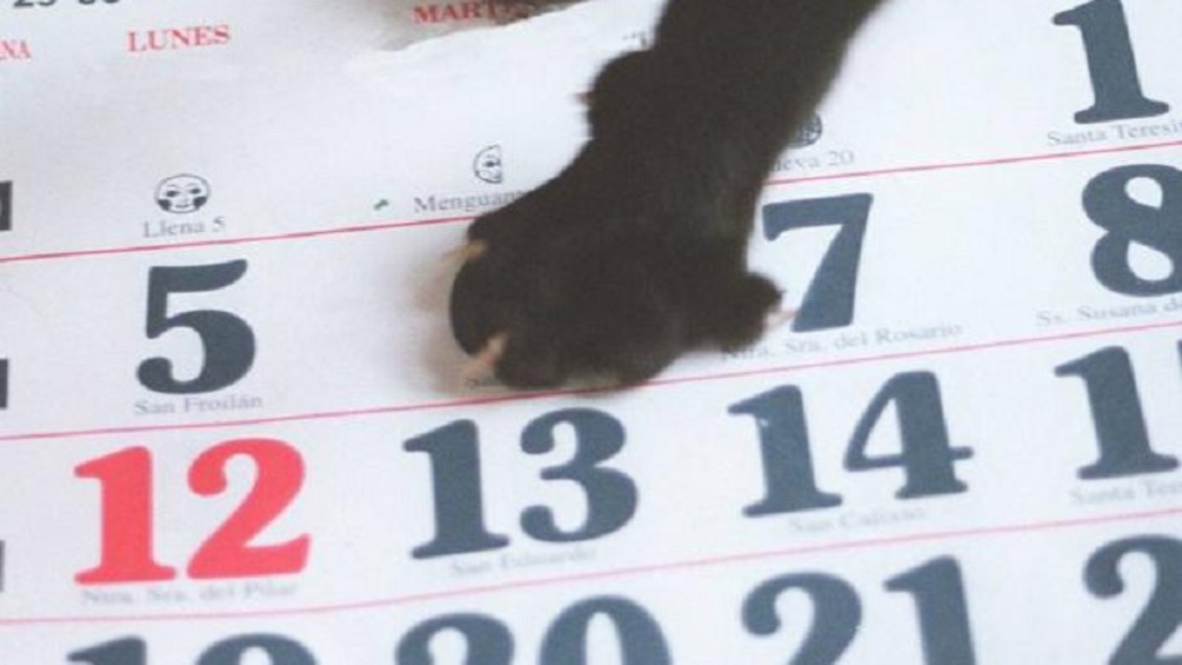 ¿Por qué se dice que el martes 13 es de mala suerte?